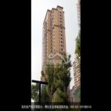 2014年2月22日博仕后龙港城工程实景